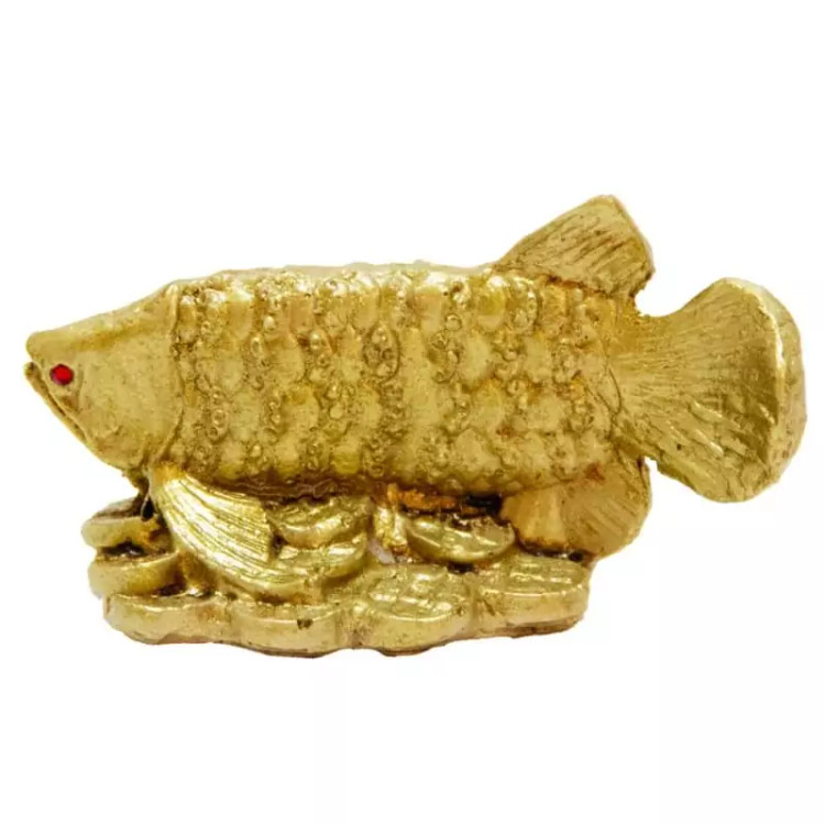 مجسمه ماهی آروانا جفت ( دو عدد)